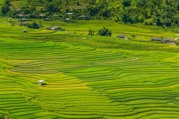 Vietnam — Stockfoto