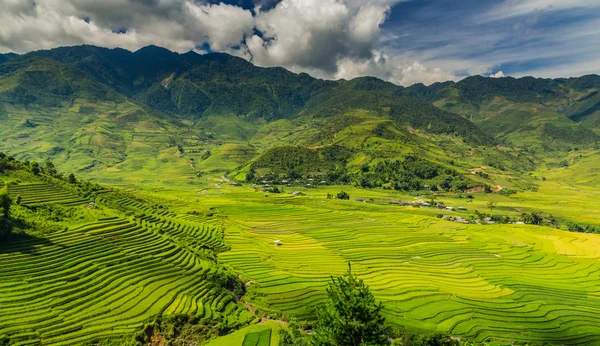 Vietnam — Foto de Stock