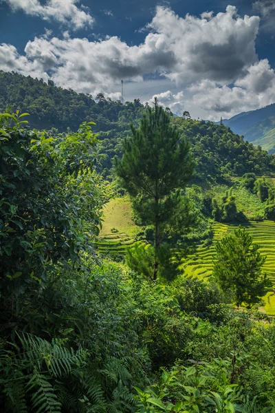 Vietnam — Stock Photo, Image