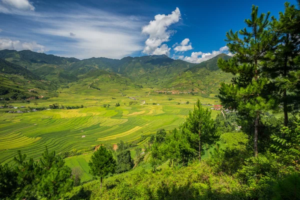 Vietnam — Stok Foto