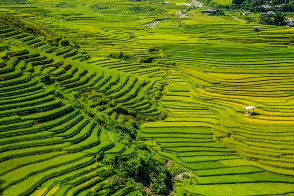 Vietnam — Stockfoto