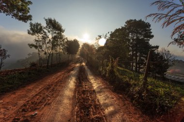 yol kenarında doğa
