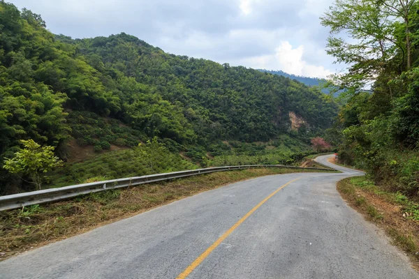 Nature road — Stock Photo, Image