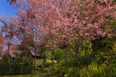 doğa kadar kapatın