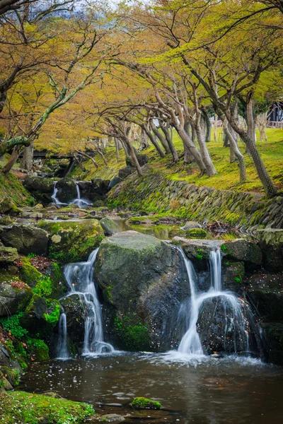 Jardín de cascada — Foto de Stock
