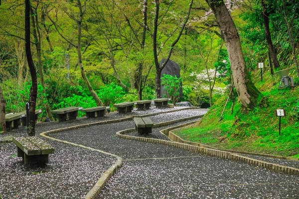 Naturen road — Stockfoto