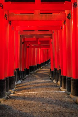 Japonya'da Tapınak için kırmızı yol.