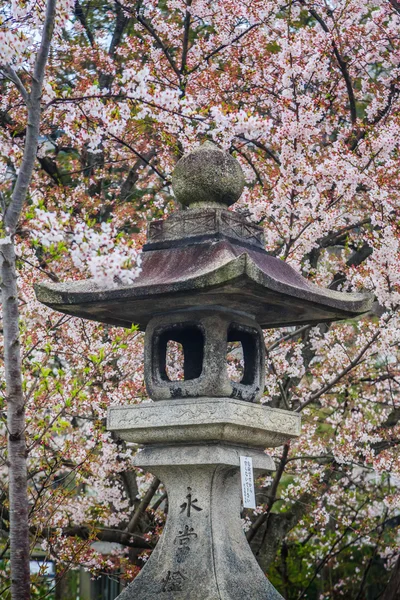 일본 사원 — 스톡 사진