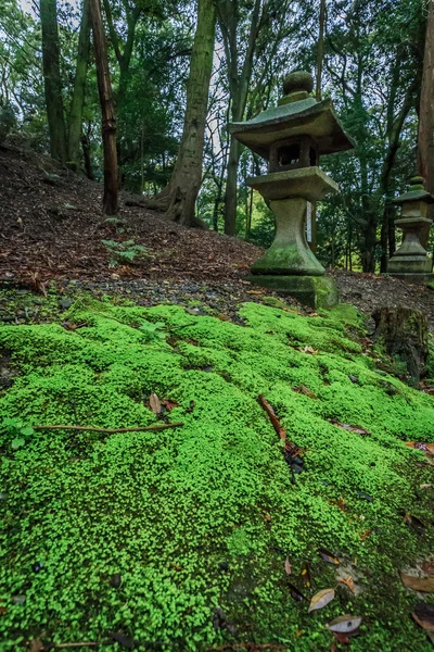 Jardín — Foto de Stock