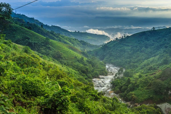 Долина Вьетнам — стоковое фото