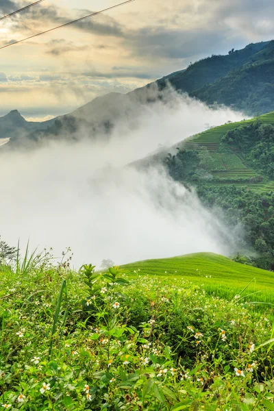 Valle Vietnam —  Fotos de Stock