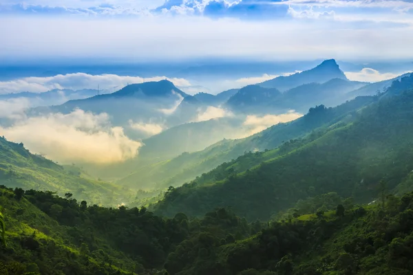 Valley Vietnam — Stok fotoğraf