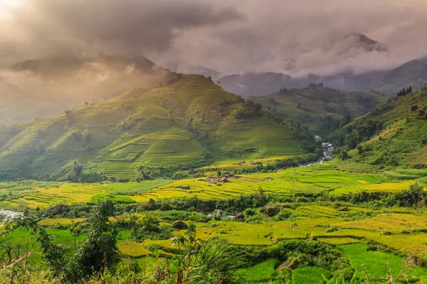 Údolí Vietnam — Stock fotografie