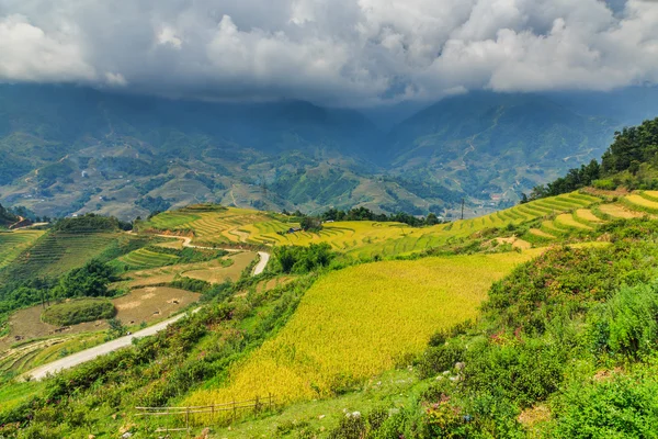 Valley Vietnam — Stock Photo, Image