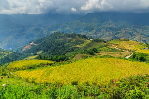 Valley Vietnam — Stock Photo, Image