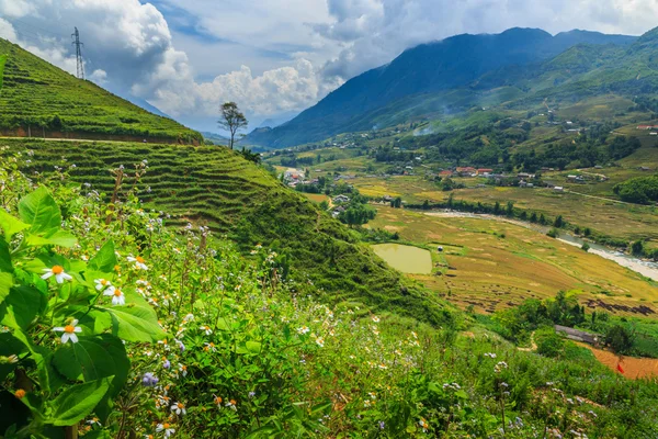 Valley Vietnam — Stock Photo, Image