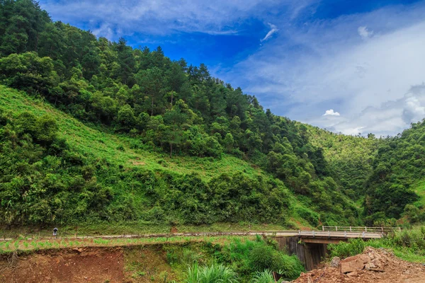 Valley Vietnam — Stock Photo, Image