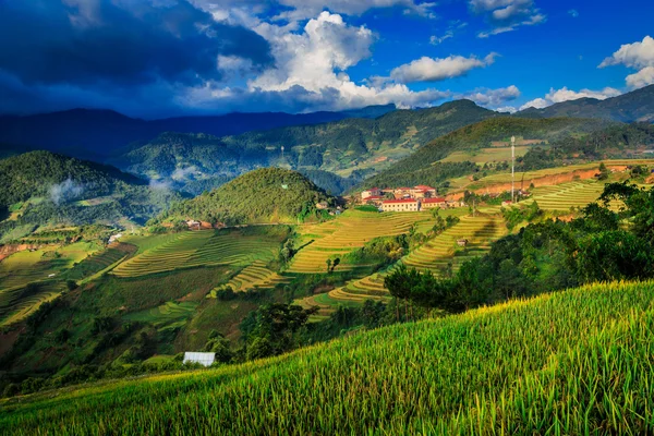 Terrazas de arroz — Foto de Stock