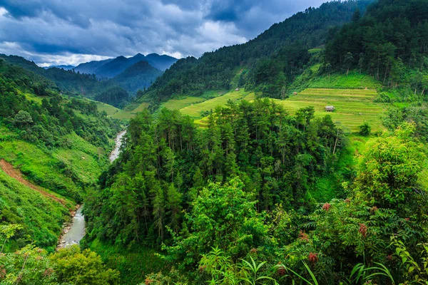 Valley Vietnam — Stock Photo, Image