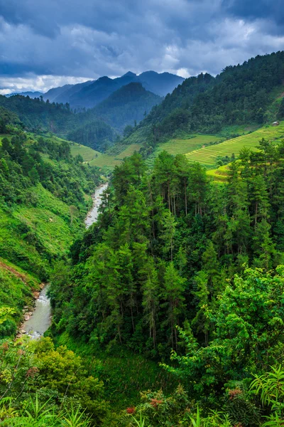 Valley Vietnam — Stock Photo, Image