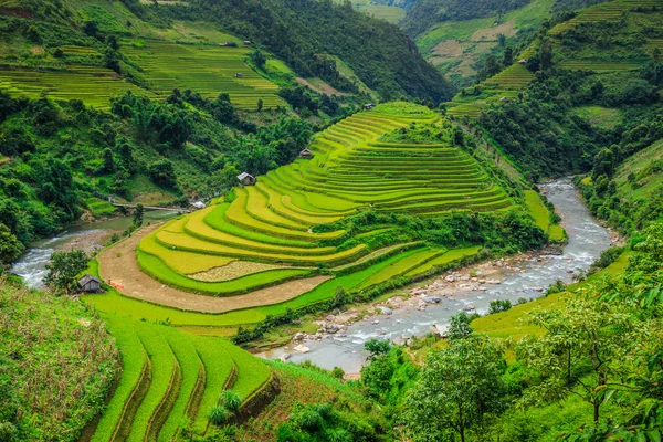 Terrazas de arroz — Foto de Stock