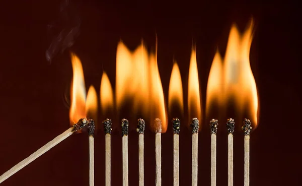 Lit match next to a row of lighting matches. Red phosphorus matches on dark red background. Concept of ignition or initiation
