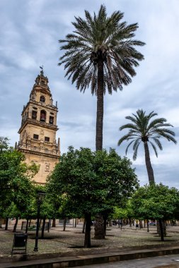 Mezquita Bahçesi. Cordoba Mezquita 'daki Patio de los Naranjos manzarası. Mezquita ya da şimdiki Cordoba Katedrali, bir zamanlar dünyanın en büyük ikinci camiiydi. Daha sonra bir katolik katedrale dönüştürüldü ve önemli bir Müslüman bölgesi olarak kaldı..