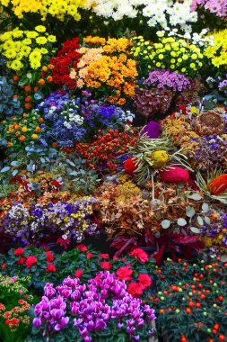 Çiçek pazarında Rambla, Barselona