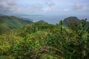 Hill - Seyşeller göster