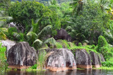 Kayalar ve Gölü de Seyşeller