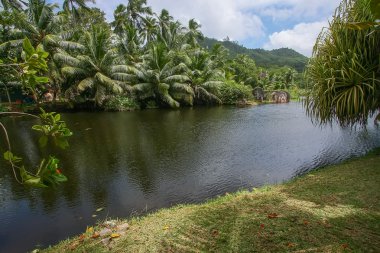 Kayalar ve Gölü de Seyşeller