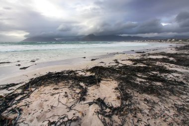 Scarborough Sahili, Güney Afrika