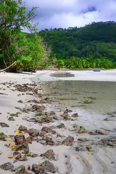 Playa en las Seychelles —  Fotos de Stock