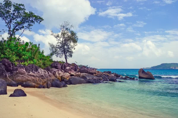 Beach on the Seychelles — Stock Photo, Image