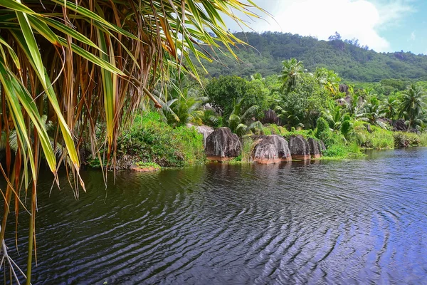 Скалы и озера Сейшельских островов — стоковое фото