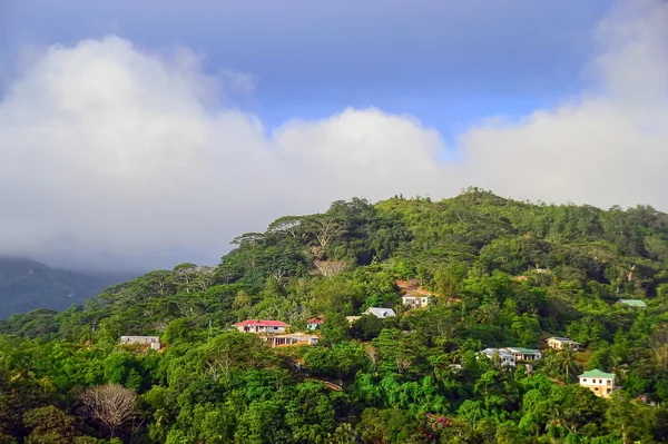 Houses on the hill in Seychelles — Stock Photo, Image