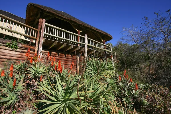 Cabanes et Bungalows à Avoca - Afrique du Sud — Photo