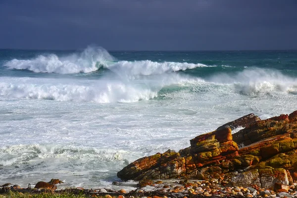 Blick auf das Kap der Hoffnung in Südafrika — Stockfoto