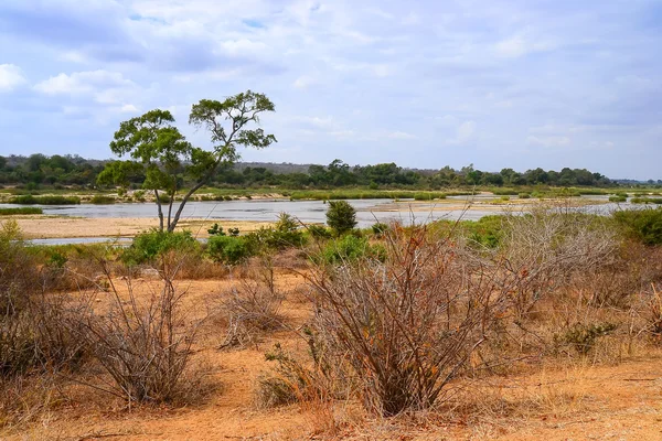 African Landscape in Kruger National Park, South Africa — Stock Photo, Image