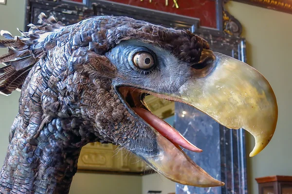 Dodo bird in het museum in Wenen — Stockfoto