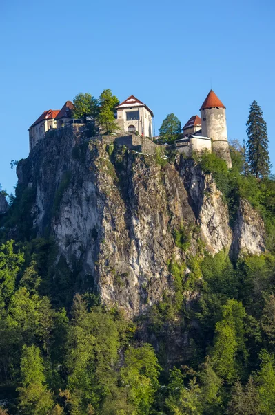 Bled, Slovenia - fortress on the hill — Stock Photo, Image