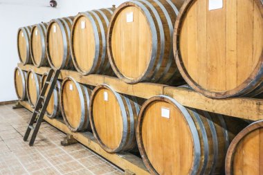 Şarap fıçıları mahzende.