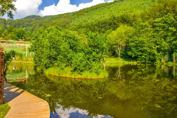 Sırbistan 'da Smetes Gölü üzerinde yüzen ada
