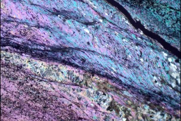Sección Roca Filita Bajo Microscopio — Vídeos de Stock