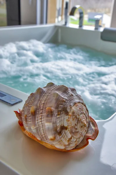 Shell Decoration Hot Tub — Stock Photo, Image