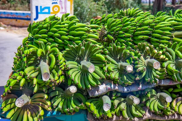 Bunch Green Bananas Cairo Egypt — Stock Photo, Image