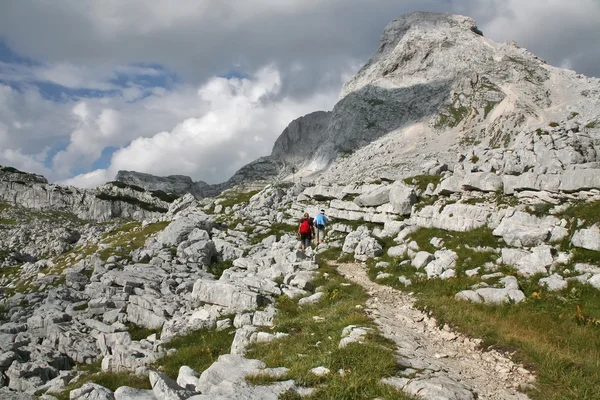 Alpiner Berg — Stockfoto