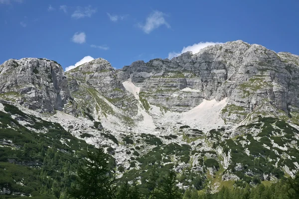 Alpiner Berg — Stockfoto