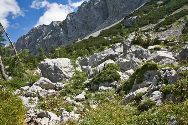 Alpské hory — Stock fotografie