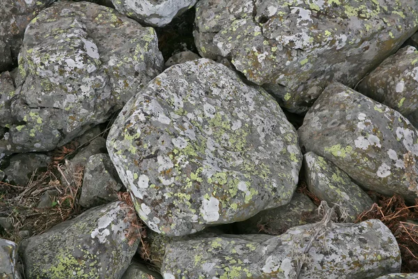 Batu basal — Stok Foto